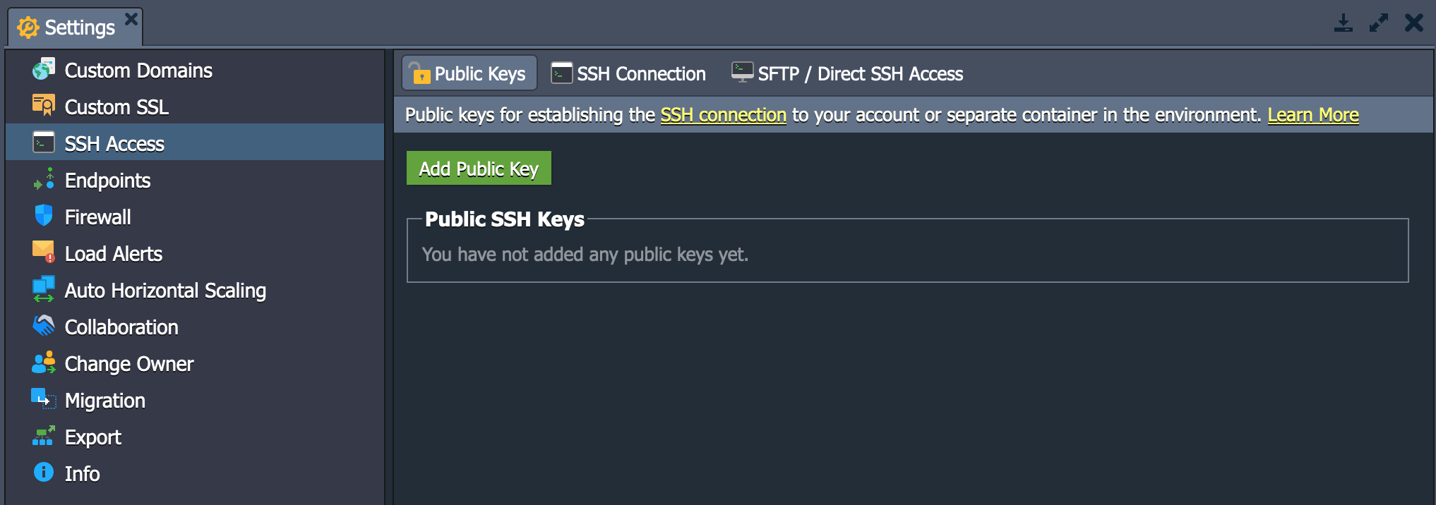 Screencap of SSH options